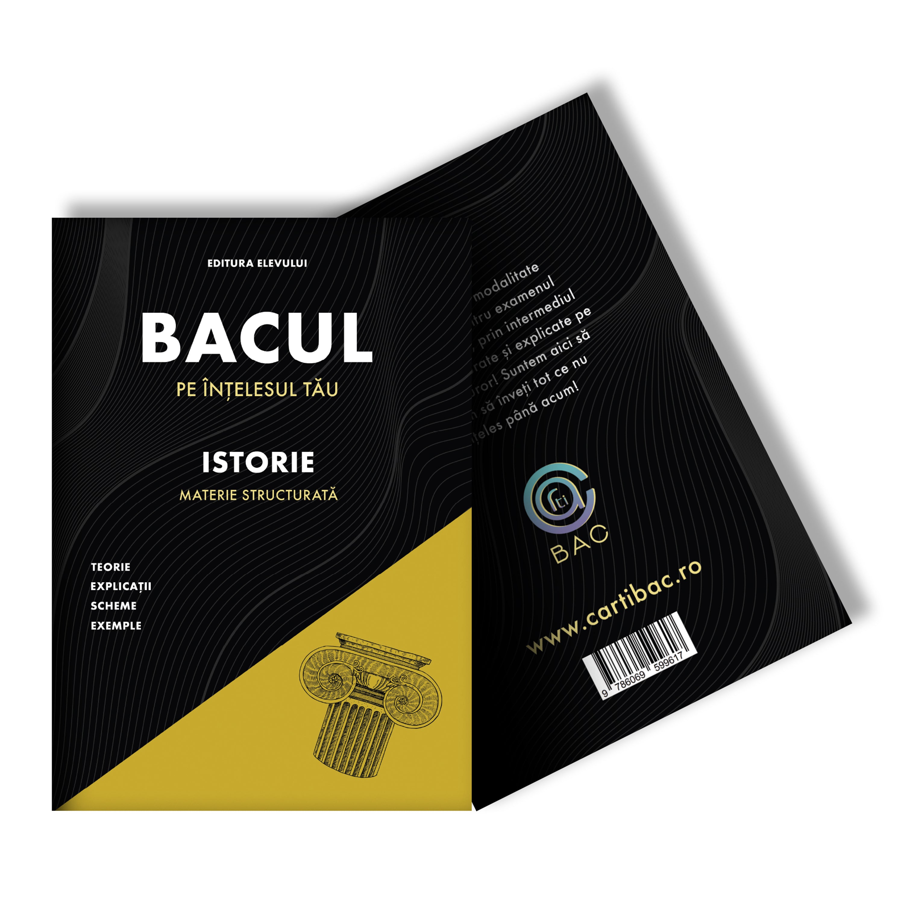 Carte Bac Istorie