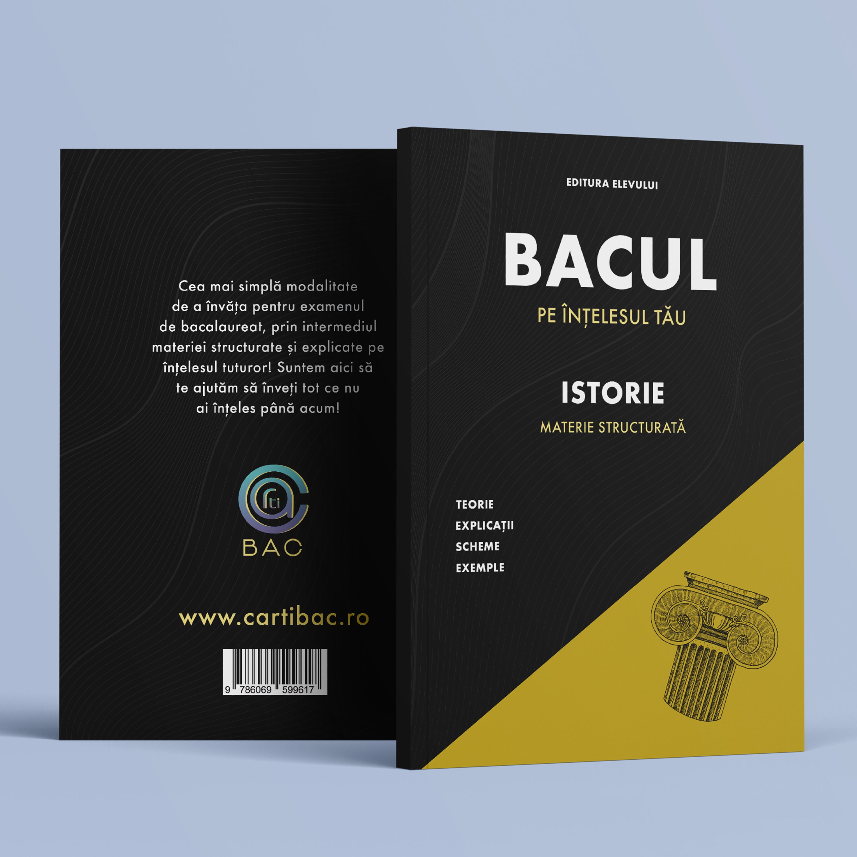 Carte Bac Istorie